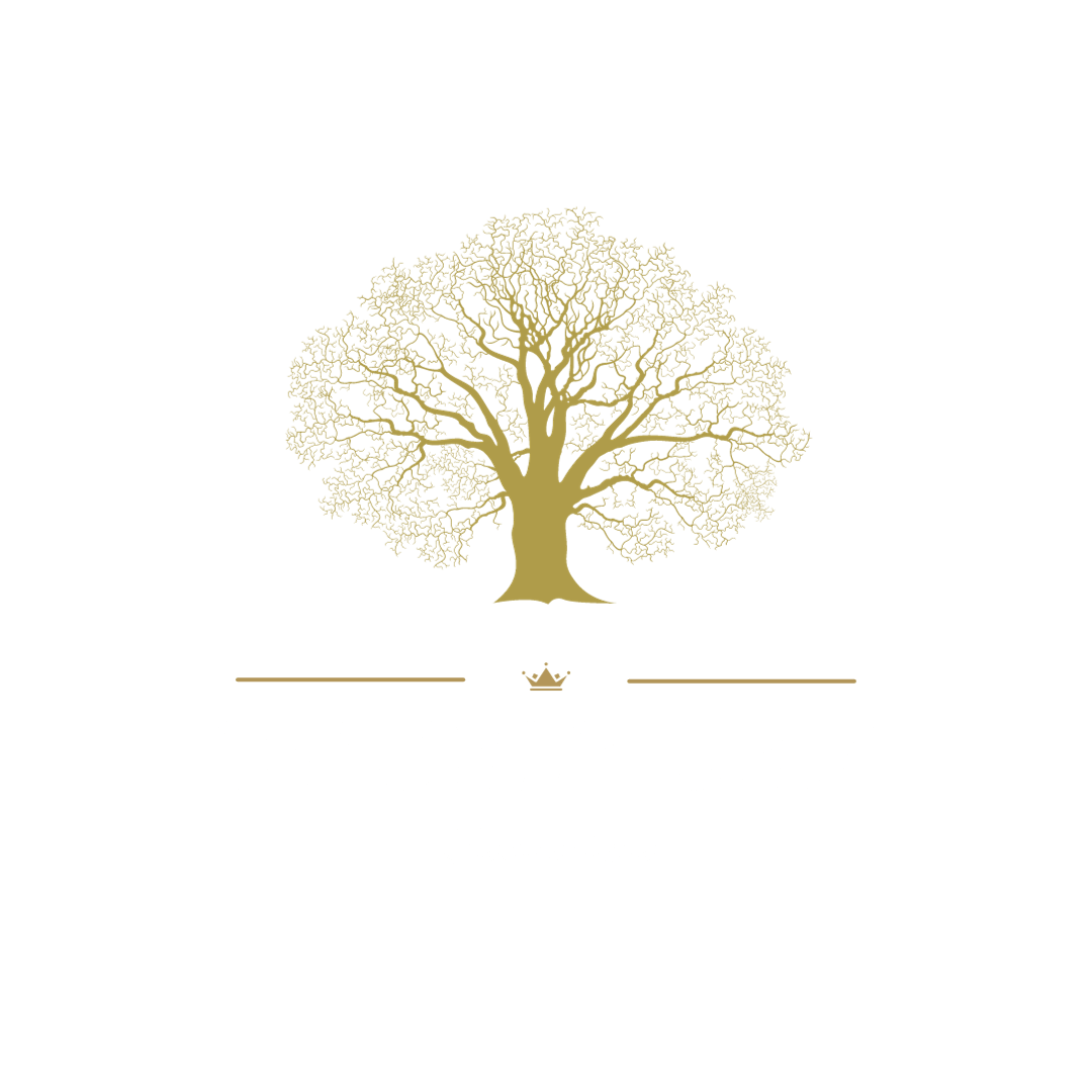 Double Oak Essentials Pop-Up Cardholder